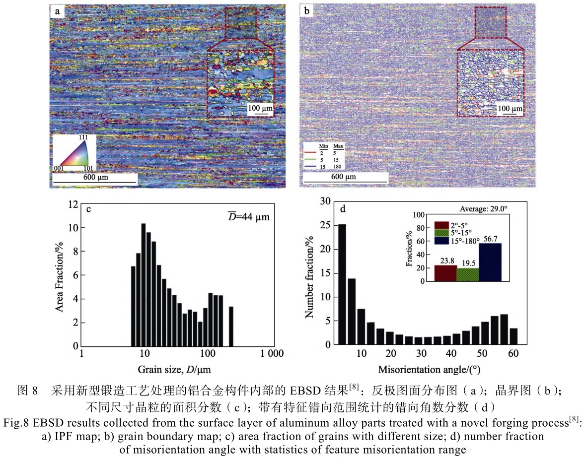 1714061006996256.jpg t8.jpg