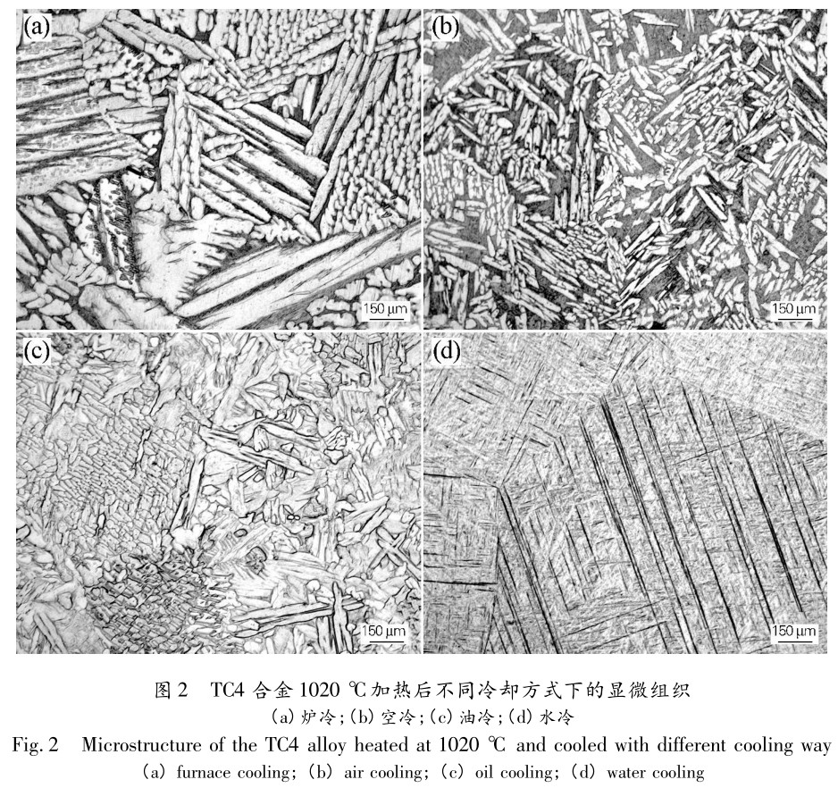 1704926405751071.jpg t2.jpg