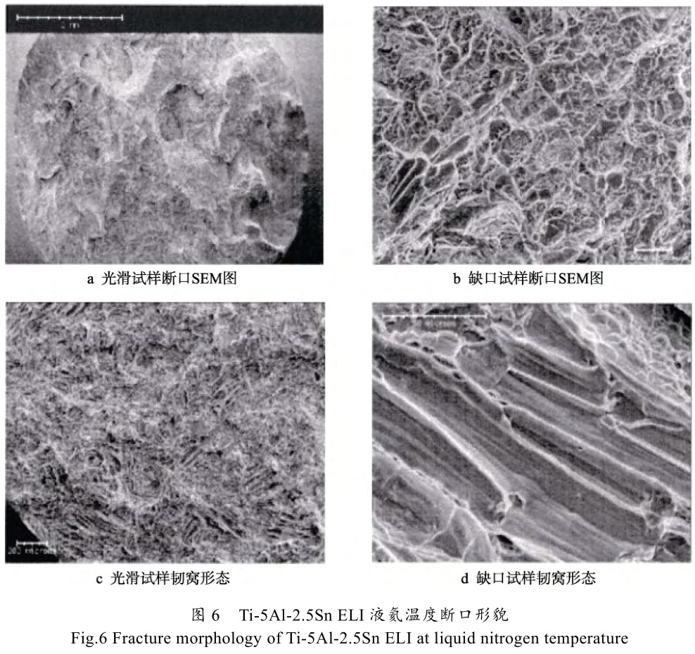 1720251463376698.jpg t6.jpg