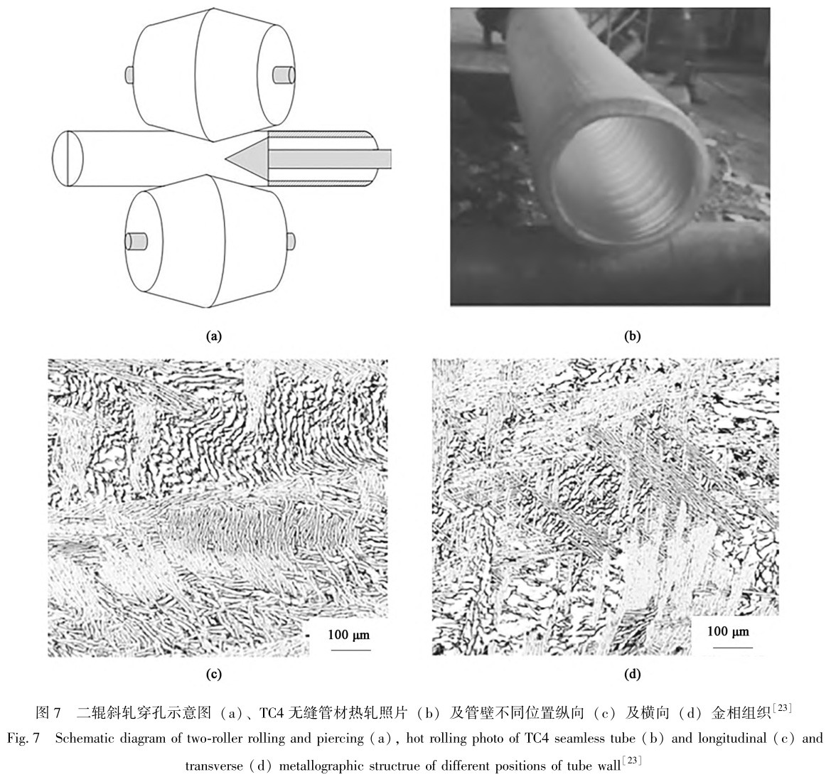 1729324350975858.jpg t7.jpg