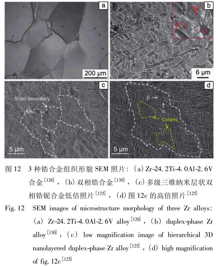 1729418800298975.jpg 12.jpg