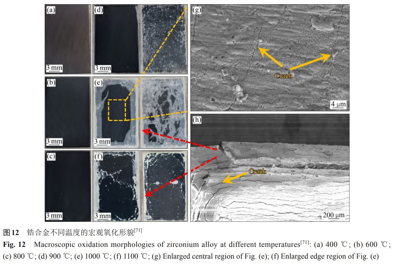 1734081900340412.jpg 12.jpg