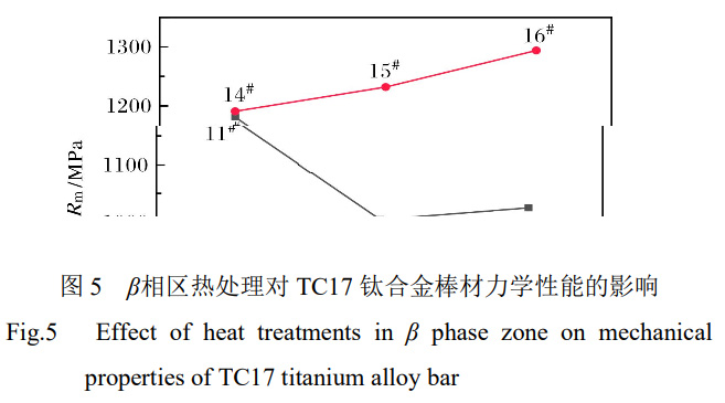 1735386826422683.jpg 5.jpg
