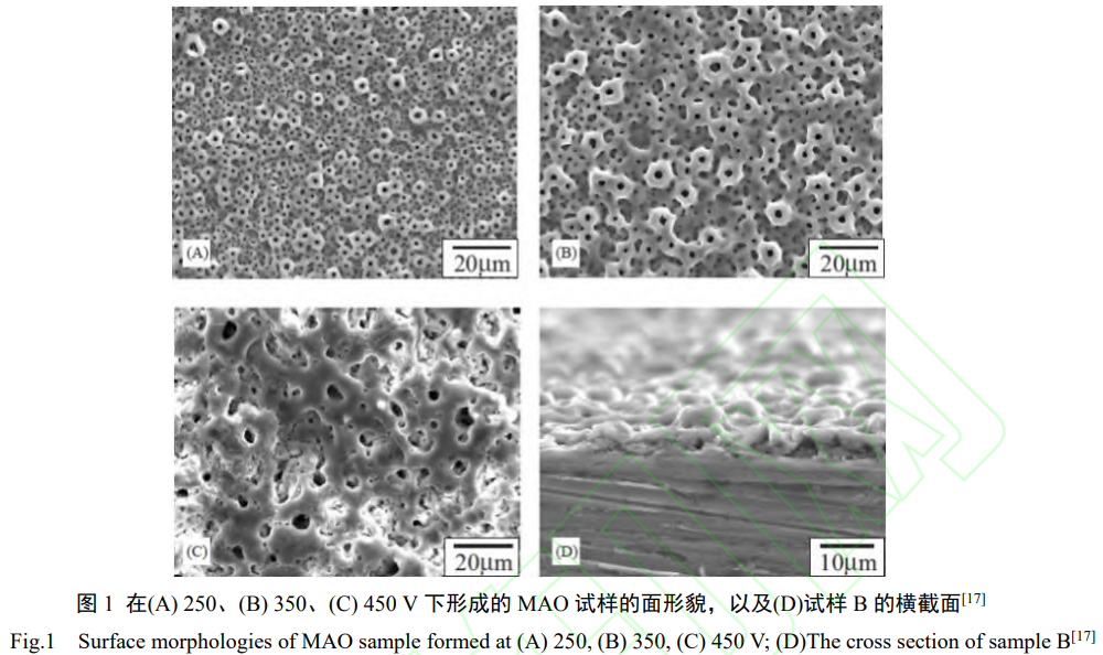 1738673729645507.png 1.png